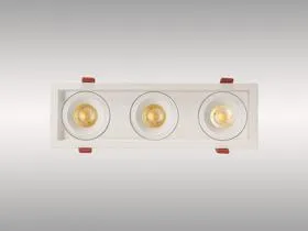 Bezz 15 Recessed Ceiling Luminaires Dlux Round Recess Ceiling